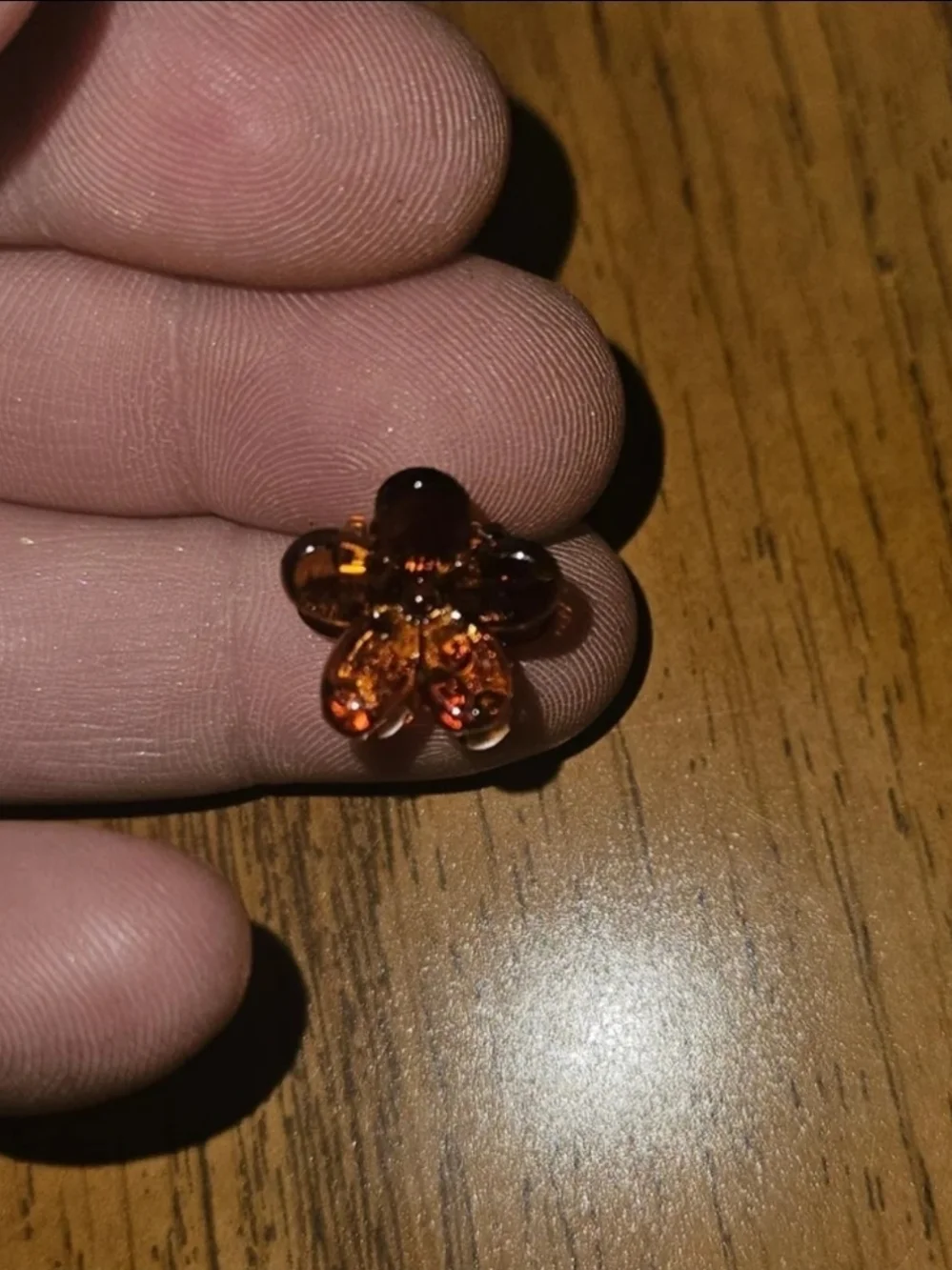 Floral Mini Hair Claw Clip Set - 10 Pack (Brown, Cream, Black)